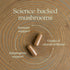 Immune 60 New Chapter Support Reishi & Shiitake Mushroom Blend with Organic Reishi Mushroom, Vegan + Non-GMO, Nootropic