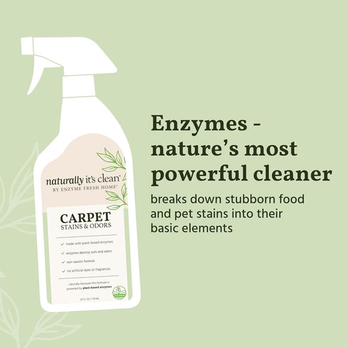 Naturally It's Clean Carpet Stains & Odors Cleaner, 24oz Spray Bottle, 2 Pack