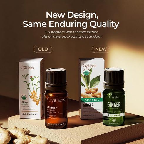 Gya Labs USDA Certified Organic Ginger Essential Oil for Skin - 100% Pure Natural Organic Ginger Oil for Hair & Diffuser