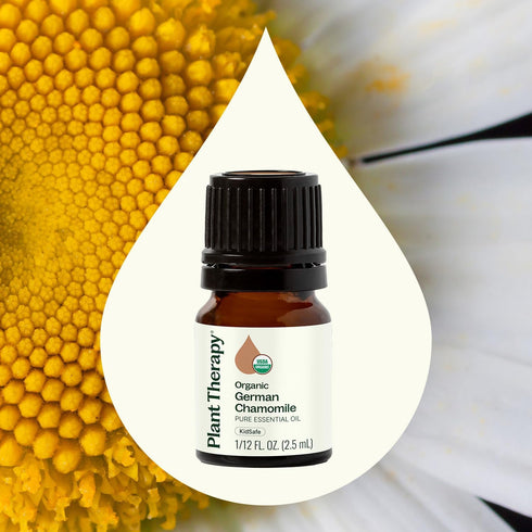 Plant Therapy Organic German Chamomile Essential Oil 2.5 mL, 100% Pure, Undiluted, Therapeutic Grade