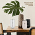 VINEVIDA Waterless Diffuser - Essential Oil Diffuser for Home - Black Scent Diffuser for Home, Battery Operated
