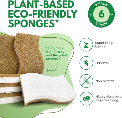 Natural Kitchen Sponges Pack of 6, Cellulose & Coconut Dish Sponge, Walnut Scrubber Sponges, Plate Friendly, No Scratch Eco Dishwashing Sponge for Washing & Cleaning, Quick-Drying, Odor Free by AIRNEX
