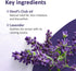 Alaska Devil's Club Lavender Salve - Handmade Skin Care Ointment with Lavender, Natural Muscle Rub - 2 oz, Made in USA