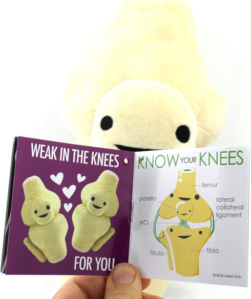 I Heart Guts Knee Joint Plush - Kneed for Speed - Knee Joint Stuffed Pillow Toy Bone, Knee Surgery Gifts - Doctors