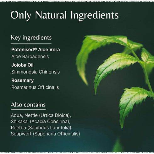 Mistry's Aloe Vera Jojoba Conditioner 200ml - Gentle, Strengthening & Nourishing Natural Hair Care