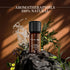 Tea Tree Essential Oil 0.34Oz - 100% Pure Undiluted Premium Therapeutic Grade Essential Oils for Diffuser/Skin Care/Massage/Hair/Toenails