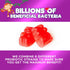 Kids Probiotic Gummies - Chewable Daily Probiotics for Kids Ages 3+, 60 Gummies for Digestive & Immune Health