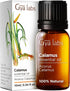 Set Set 2x0.34 oz Calamus & Myrrh Essential Oil - Aromatherapy Grade Essential Oils - fl - Gya Labs