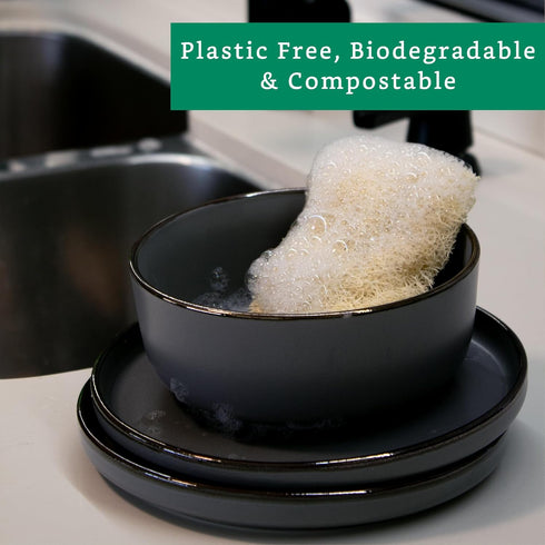 Natural Loofah Kitchen Sponge, XL 10 Pack Natural Sponges for Dishes, Eco Friendly Compostable Biodegradable Kitchen