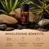 Set Set 2x0.34 oz Gya Labs Yuzu Essential Oil for Diffuser & Vetiver Essential Oil for Skin - Aromatherapy Grade