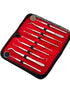 Premium Dental Tools, Plaque Remover for Teeth, Professional Hygiene Cleaning Kit, Stainless Tooth Scraper Set (SET of