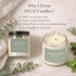 Summer 6 Pack PELN Scented Candles for Women, Spring Soy Wax Aromatherapy Candles, Lemon Verbena, Coconut Lime, Sea