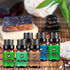 SOUQDWL Oils,6pcsx 10ml Set Essential Nature Fragrance Oil Pure Essential Oils Kit