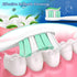 HX6063/65, 2 Hx9023/65 Aoremon Replacement Heads for Sonicare Philips Toothbrush: Compatible with Sonicare DiamondClean
