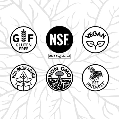Host Defense Reishi Capsules - Heart & Immune Health Support Supplement - 30 Capsules for Energy & Vitality