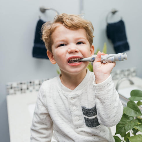 Dr. Brown’s Otter Toddler Toothbrush, Soft Bristles with Suction Cup, BPA Free, Ages 1-4, 1-Pack