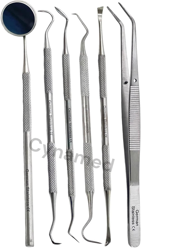 Premium Dental Tools, Professional Hygiene Cleaning Kit, Stainless Tooth Scraper, Plaque Remover, Set of 6 with CASE
