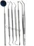Premium Dental Tools, Professional Hygiene Cleaning Kit, Stainless Tooth Scraper, Plaque Remover, Set of 6 with CASE