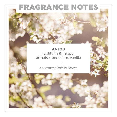 Zents Triple-Milled Luxe Bar Soap (Anjou Fragrance) | Moisturizing Soap with Organic Shea Butter
