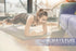 Pure Original Ingredients L-Carnitine L-Tartrate (100 Capsules) - Always Pure, Lab Verified, No Additives