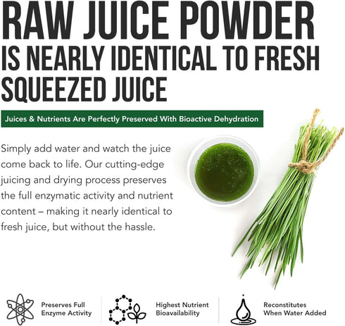 Organic Wheatgrass Juice Powder - Raw BioActive Form, Cold-Pressed, 20:1 Concentrate Juice Extract, Unflavored (5.3 oz)