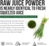 Organic Wheatgrass Juice Powder - Raw BioActive Form, Cold-Pressed, 20:1 Concentrate Juice Extract, Unflavored (5.3 oz)