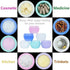 Travel Accessories Toiletry Containers, 1 oz Plastic Jars for Creams, Leak Proof Lids, Compact Travel Size (6 Pieces)