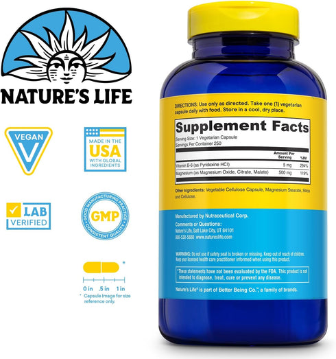 Renewing Magnesium 500 mg, Natures Life, Citrate, Malate, Oxide Plus Vitamin B-6, 250 VegCaps