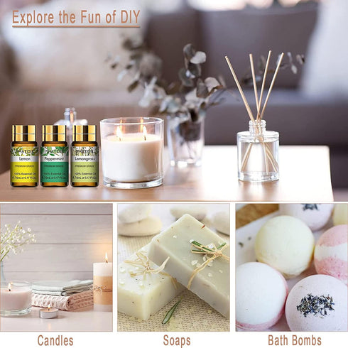 Set, 12x5ml Set 100% PHATOIL Essential Oil Essential Oils Gift with Diffused Wood, Natural Pure Essential Oils
