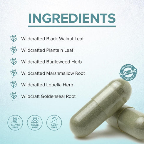 Immune LYMPHX Ultimate Support and Wellness Supplement