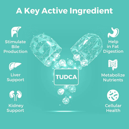 TUDCA Bile Salts Supplement 1000mg 60 Veggie Capsules for Liver Support and Detox Cleanse