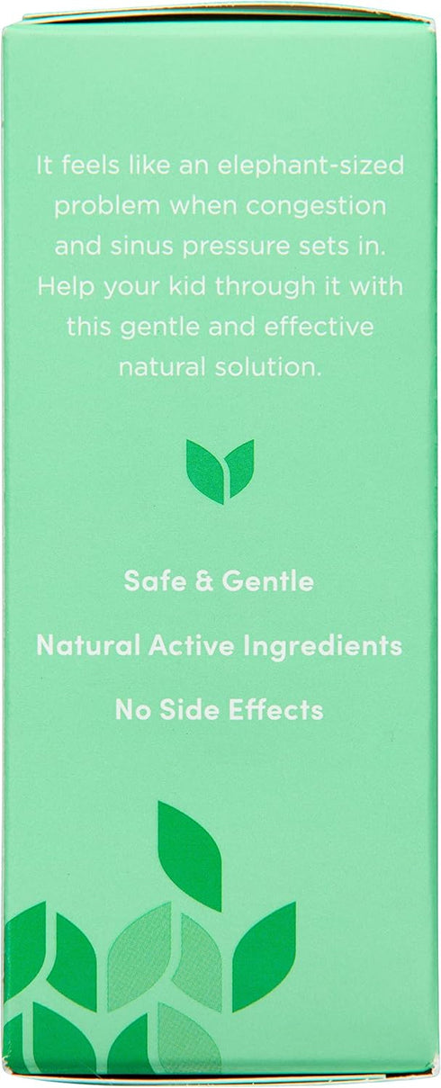 Hyland's Kids Stuffy Nose and Sinus Tablets, Cold Medicine for Children 2+, Quick Dissolving Tablets, 50 Count