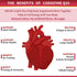 CoQ10 400mg Softgels with PQQ, BioPerine & Omega-3 - High-Absorption Antioxidant for Heart & Energy Production, 120