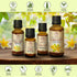 Ylang-Ylang Essential Oil - 1.7 Fl Oz, 100% Pure & Natural for Aromatherapy, Beauty, and Relaxation