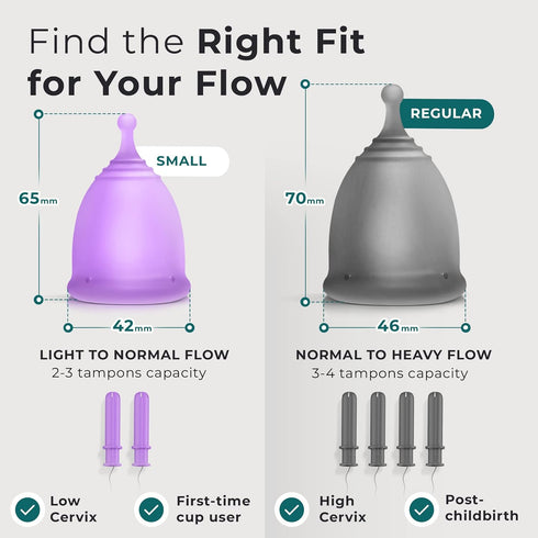 Set Ecoblossom Complete Menstrual Cup Kit - Small & Large Reusable Period Cups, Silicone Sterilizer Holder, Cleansing