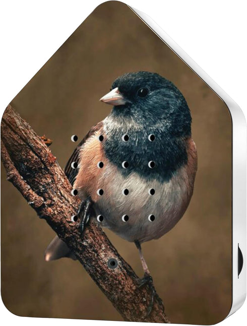 RELAXOUND Original Birdybox American Robin - Modern Nature Sound Box - Relaxing