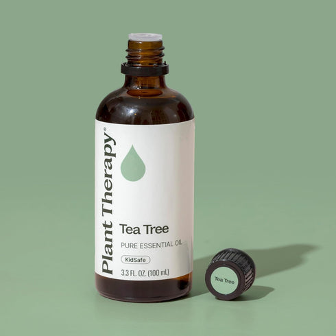 Plant Therapy Tea Tree Essential Oil, 100 mL (3.3 oz), 100% Pure
