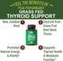 Raw Desiccated Thyroid Supplement. Grass Fed New Zealand Beef Neck & Thyroid Gland Capsules for Women and Men.