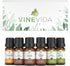 Vinevida Essential Oils Set for Aromatherapy, Massage, and Skin Care (10ml Each),