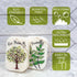 10PACK Natural Plant Based Biodegradable Eco-Friendly Cellulose Dish Sponges: Non Scratch, Multi-Purpose Kitchen,Household,Bathroom Cleaning Sponges by Generic