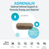 XYMOGEN Adrenaliv - Adrenal Support Supplement for Energy, Stamina, Stress Response - Rhodiola Rosea, 60 Capsules