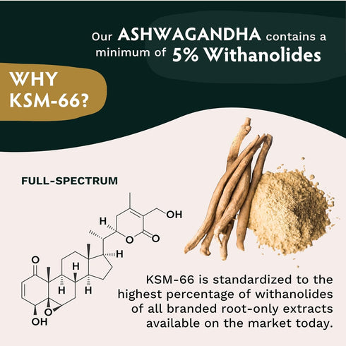 TRIBE ORGANICS Ashwagandha KSM 66 - Pure Organic Root Powder Extract for Focus & Mood Support, 90 Capsules