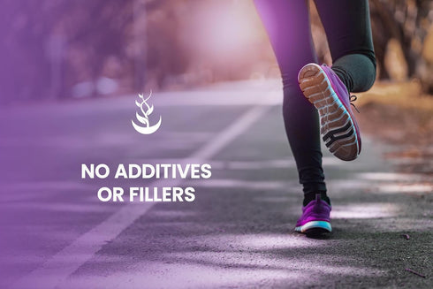 PURE ORIGINAL INGREDIENTS (365 Vitex Berry (Chasteberry) Capsules) No Magnesium Or Rice Fillers, Always Pure, Lab