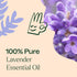 Plant Therapy Lavender Essential Oil, 100% Pure, 30 mL (1 oz)
