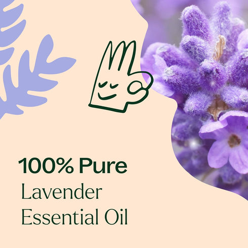 Plant Therapy Lavender Essential Oil 100% Pure – Pre-Diluted Roll-On, Natural Aromatherapy, Therapeutic Grade 10 mL