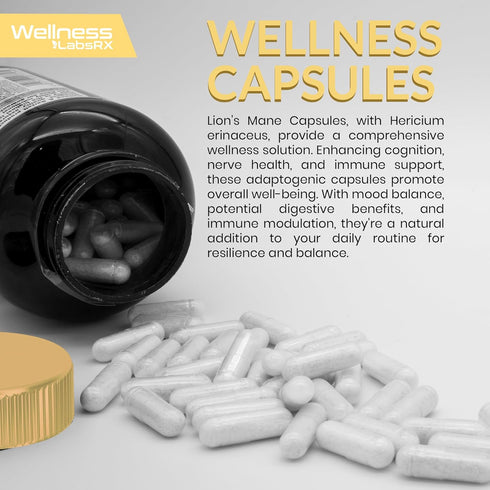 Lions Mane Supplement Capsules, 120 Count, Organic Mushroom Supplement for Memory and Focus