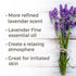 Plant Therapy Organic Lavender Fine 10 mL (1/3 oz) - 100% Pure USDA Certified, Therapeutic Grade