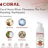 Coral Nano Silver Foaming Cinnamon Tea Tree Toothpaste, Natural Fluoride Free, SLS and Glycerin Free - 4 Ounce