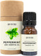 Peppermint Essential Oil - 100% Pure & Natural, Undiluted for Aromatherapy, Skin, Hair, Diffuser - 10ml