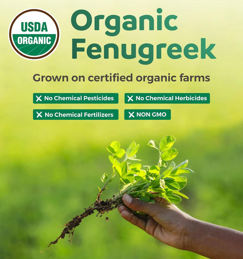 USDA Organic Fenugreek Capsules for Women, 60 Vegan Capsules, Effective Lactation Supplement for Increased Milk Supply